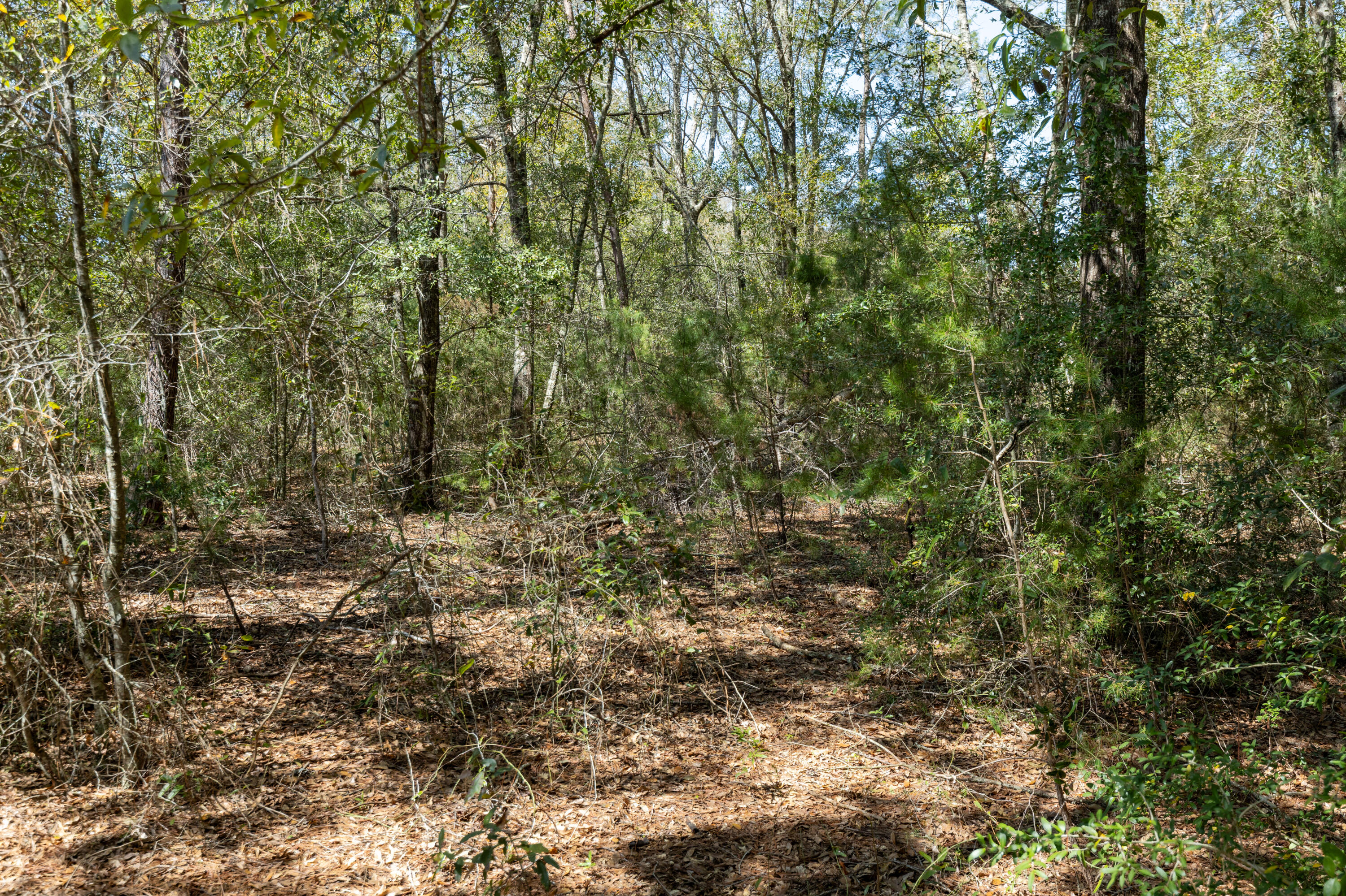 Lot B .67 Acres Walton Road, DeFuniak Springs