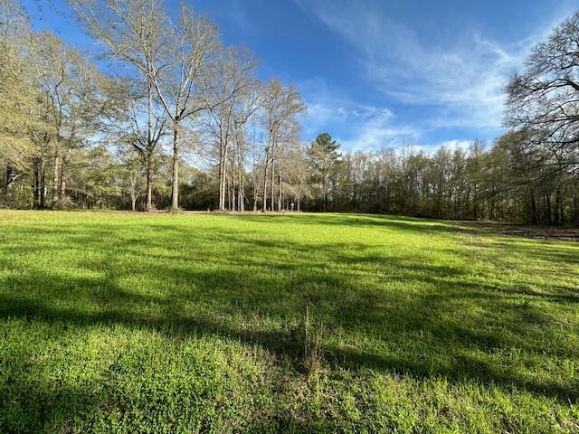 6935 Beau Chene Lane