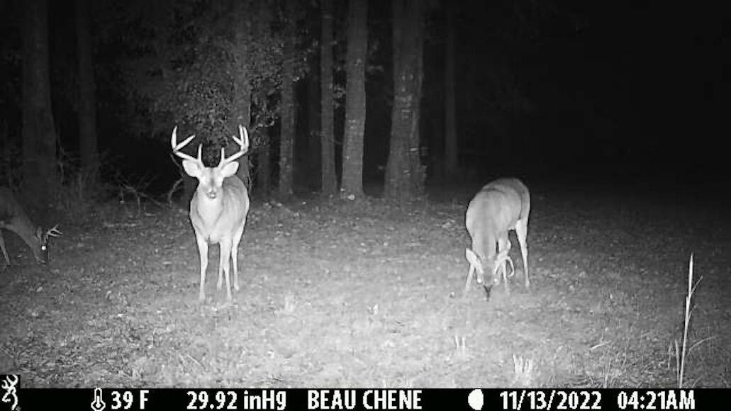 6935 Beau Chene Lane