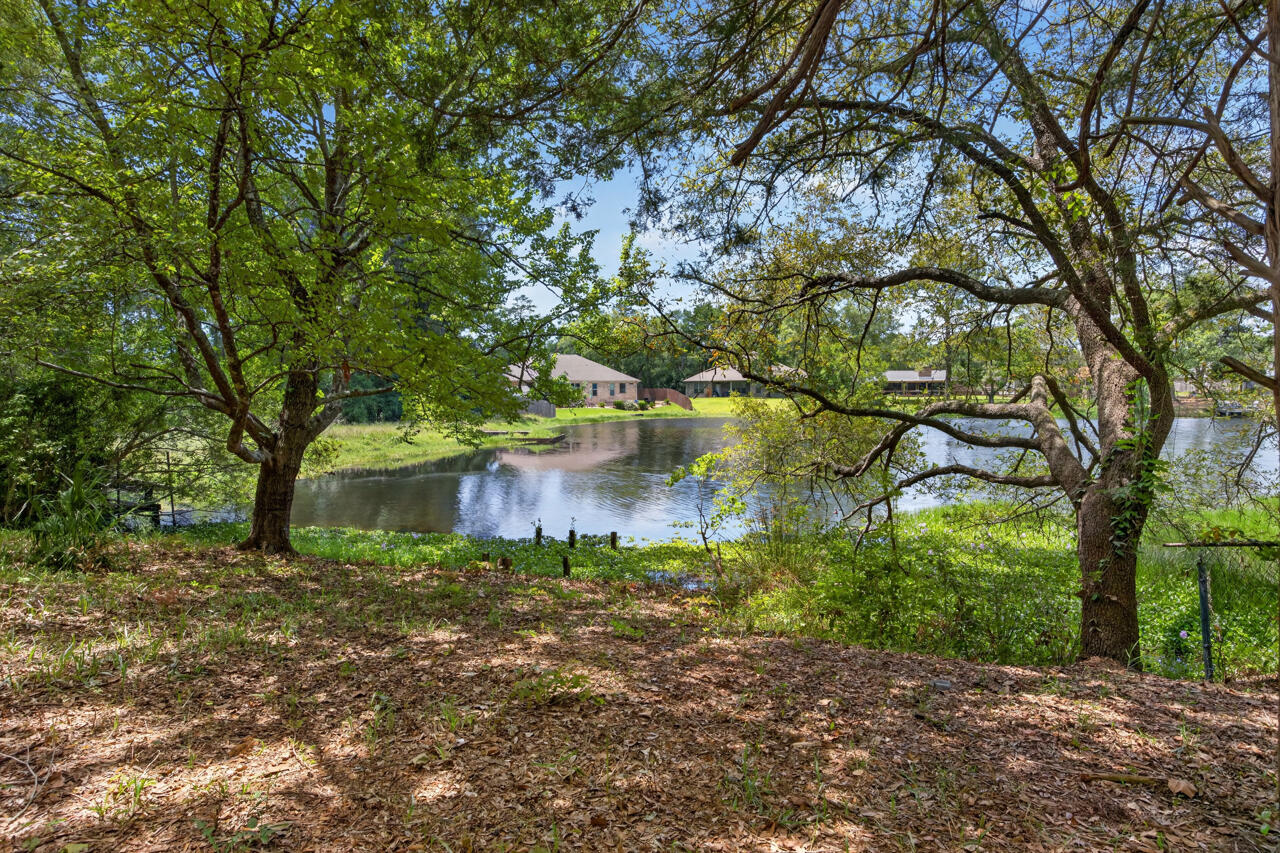 1037 Everglade Drive