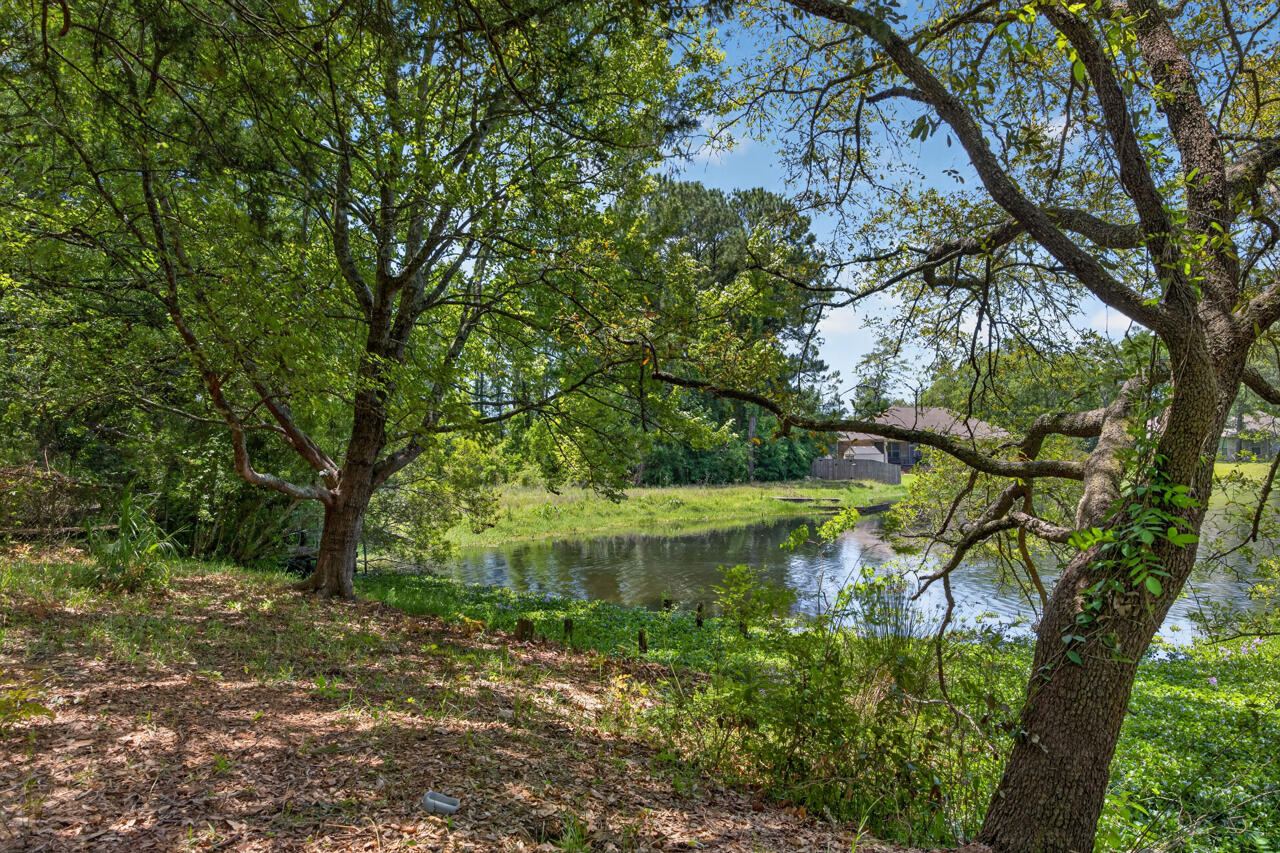 1037 Everglade Drive