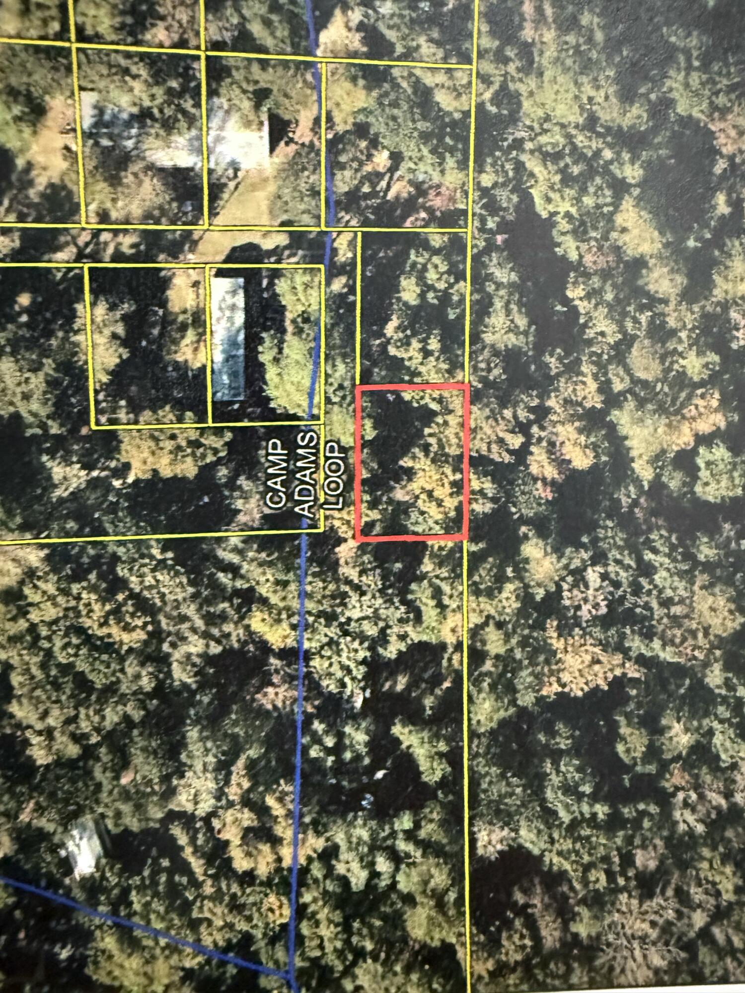 105 Camp Adams Loop