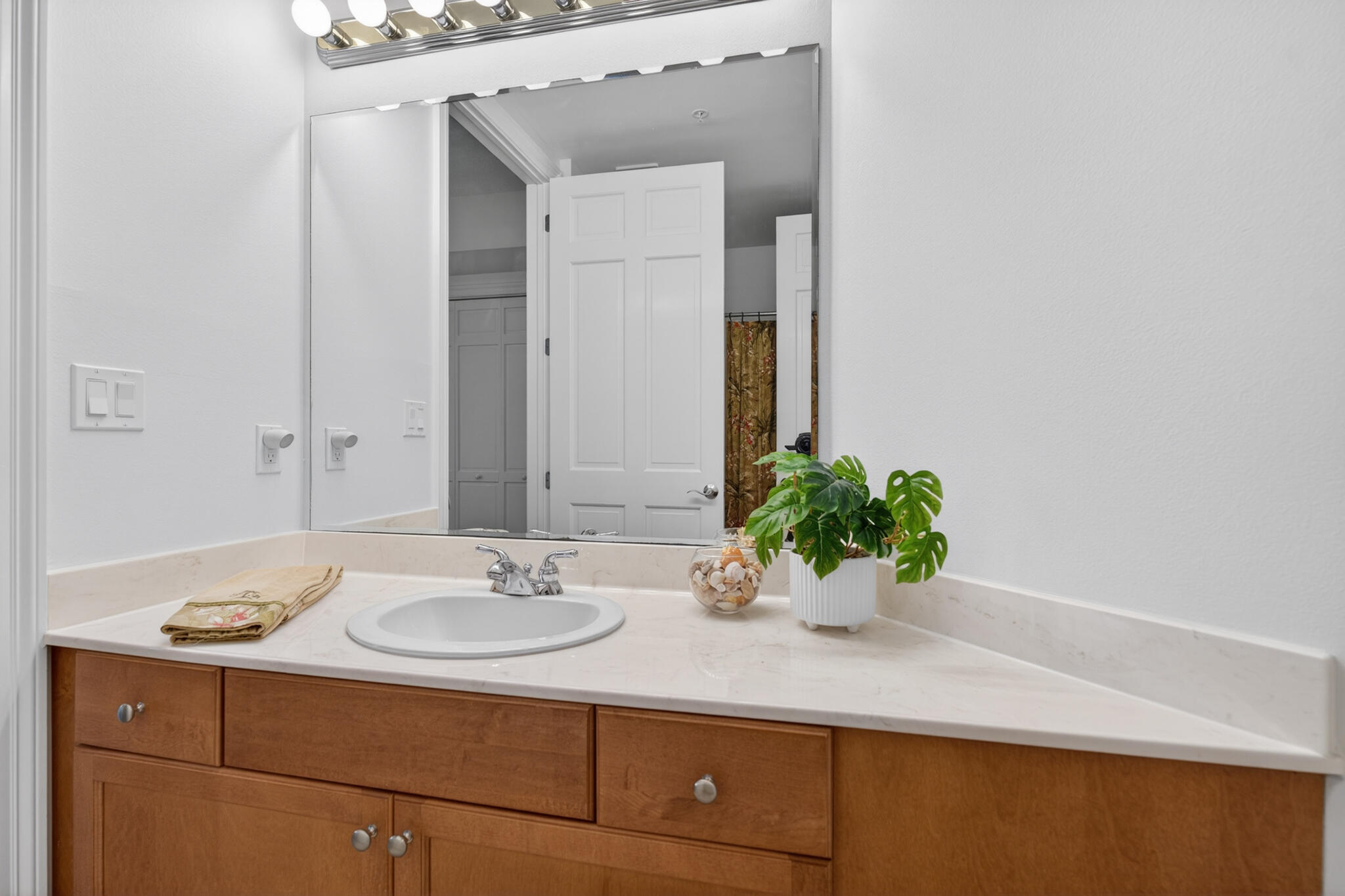 5 Calhoun Avenue 504