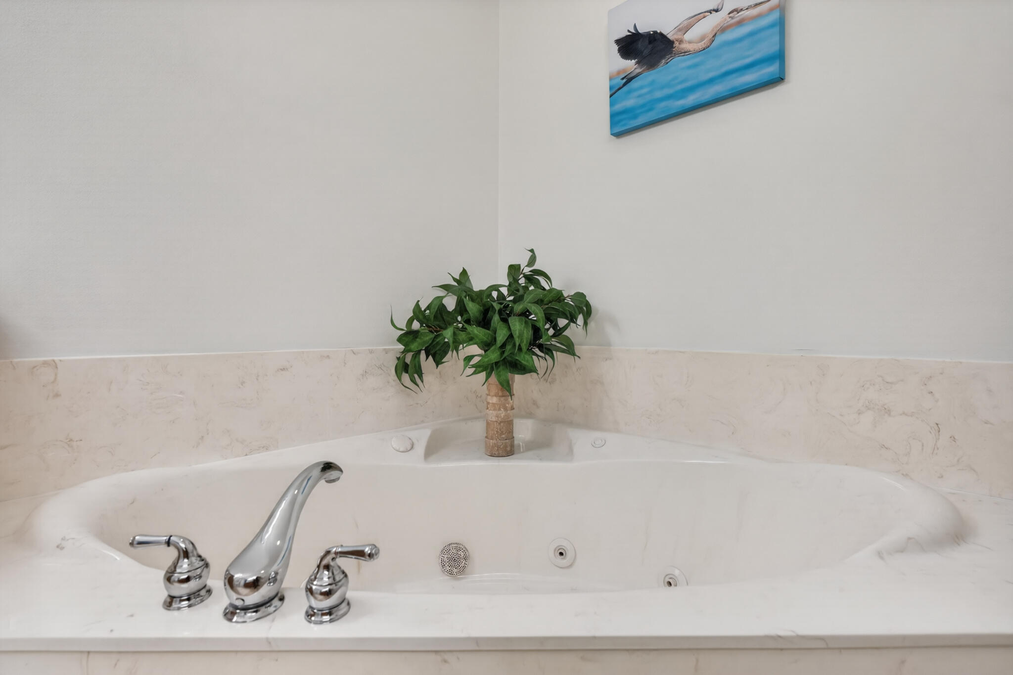 5 Calhoun Avenue 504