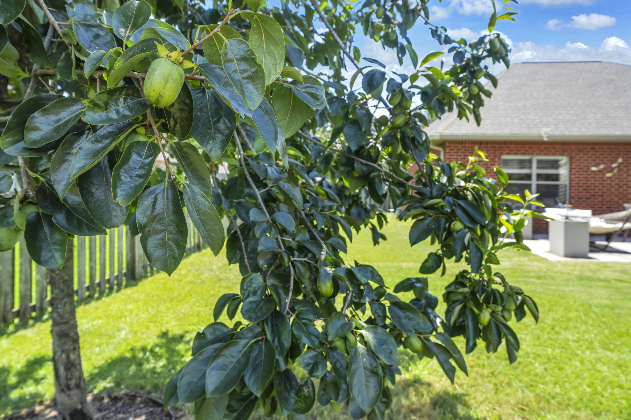 163 Camellia Court