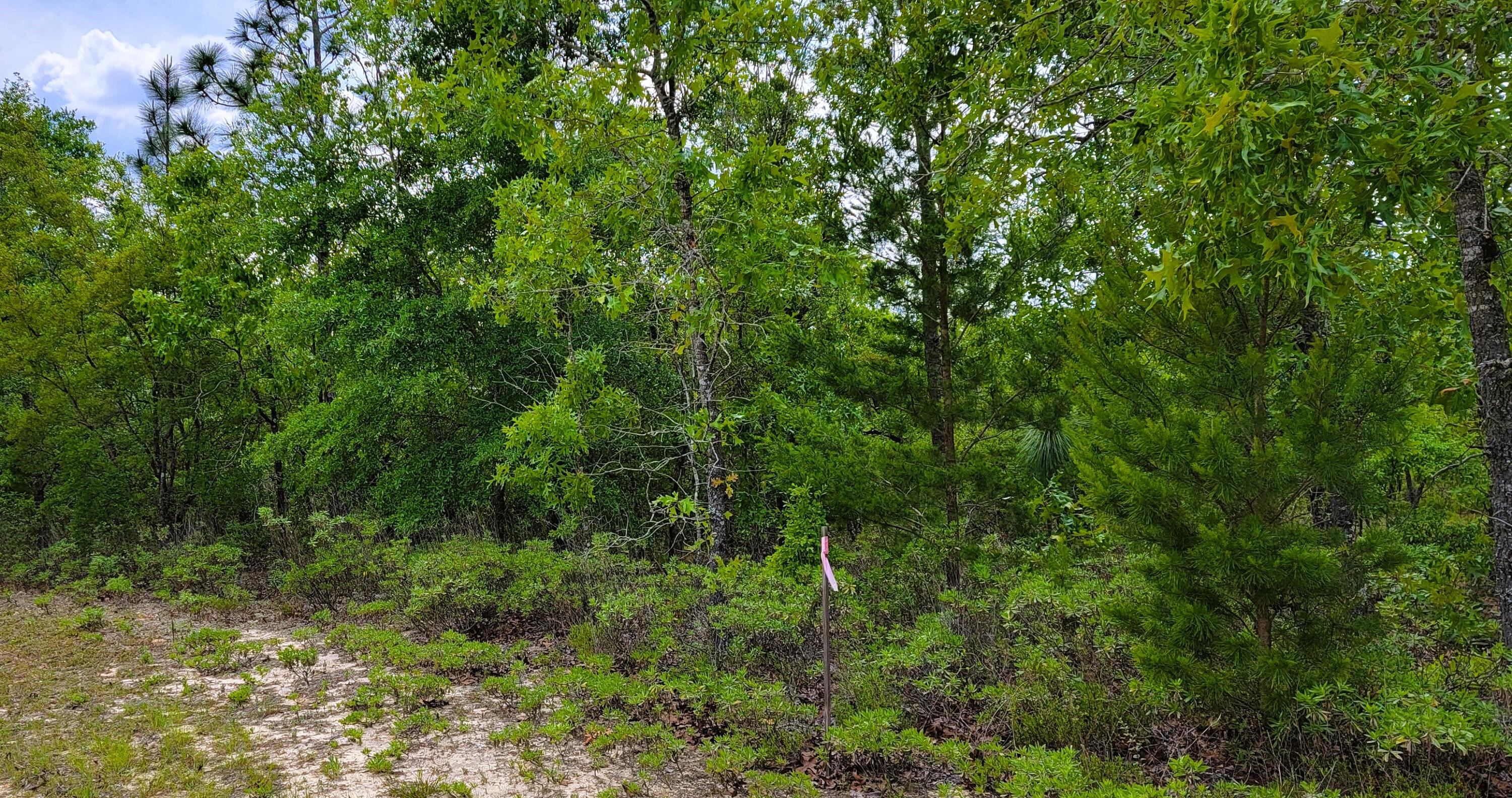 Lot 11 on Lake Rosemary Court, DeFuniak Springs