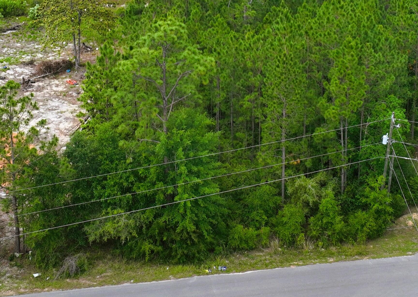 Lot 11 on Lake Rosemary Court, DeFuniak Springs