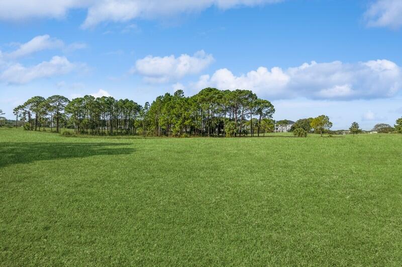 242 Calusa Boulevard