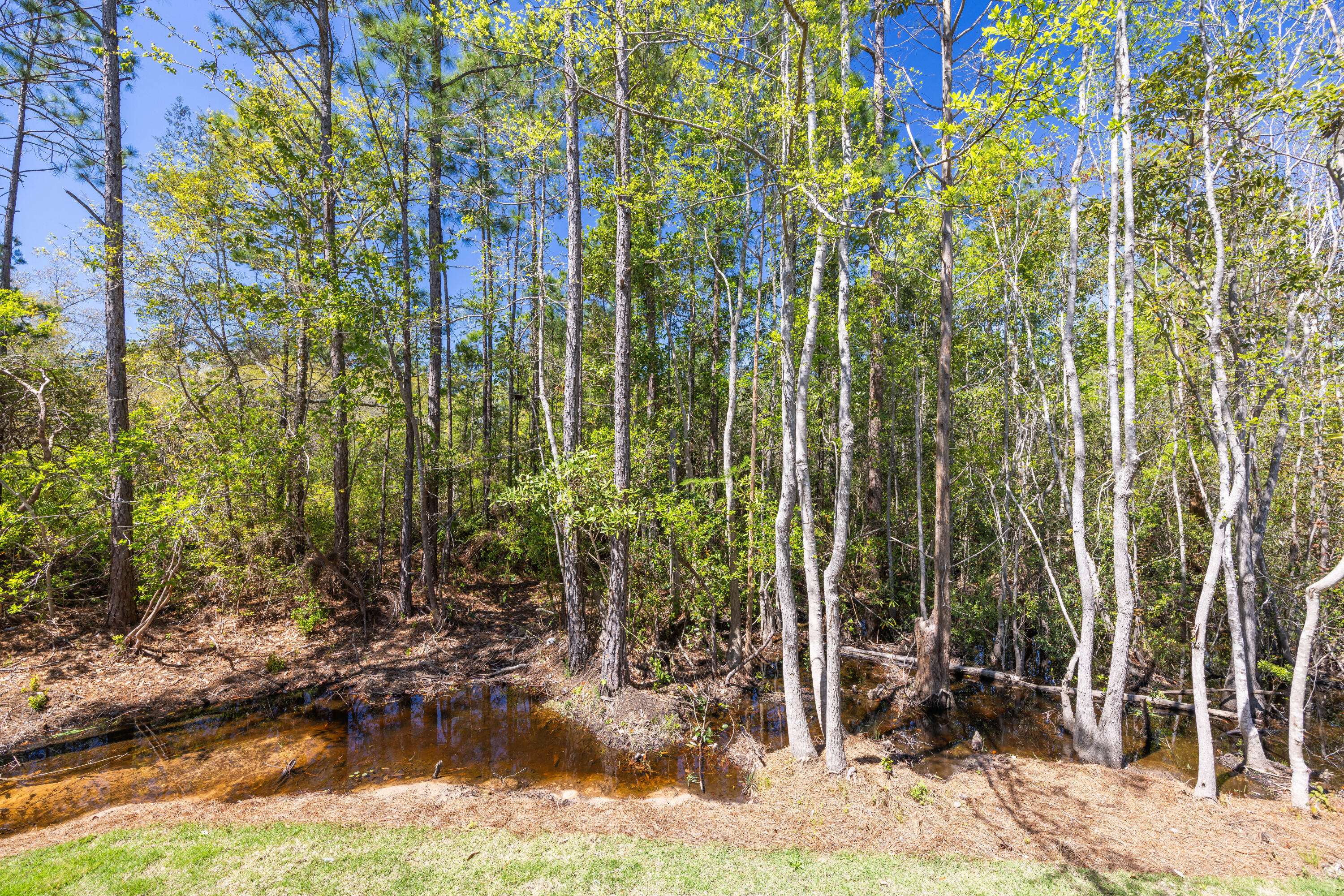 287 Peachtree Circle