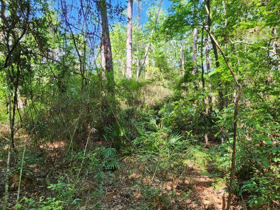 .34 Acres Co Hwy 3280