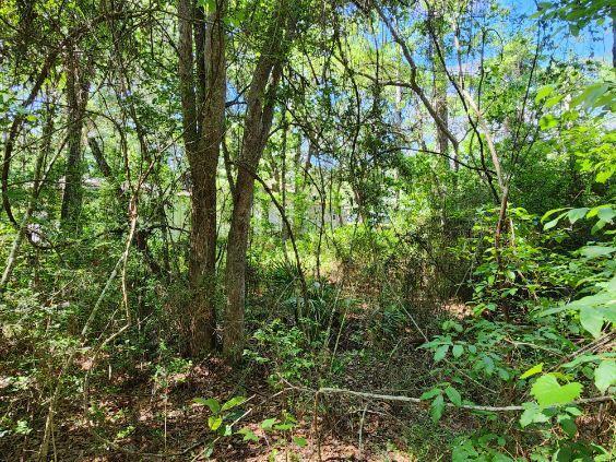 .34 Acres Co Hwy 3280