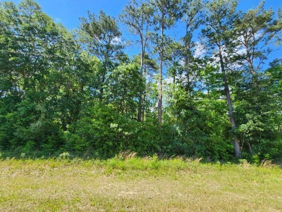 .34 Acres Co Hwy 3280