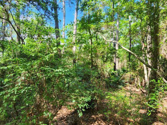 .34 Acres Co Hwy 3280