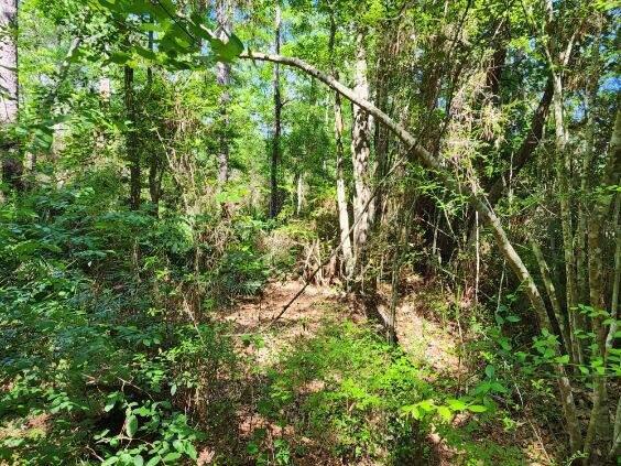 .34 Acres Co Hwy 3280
