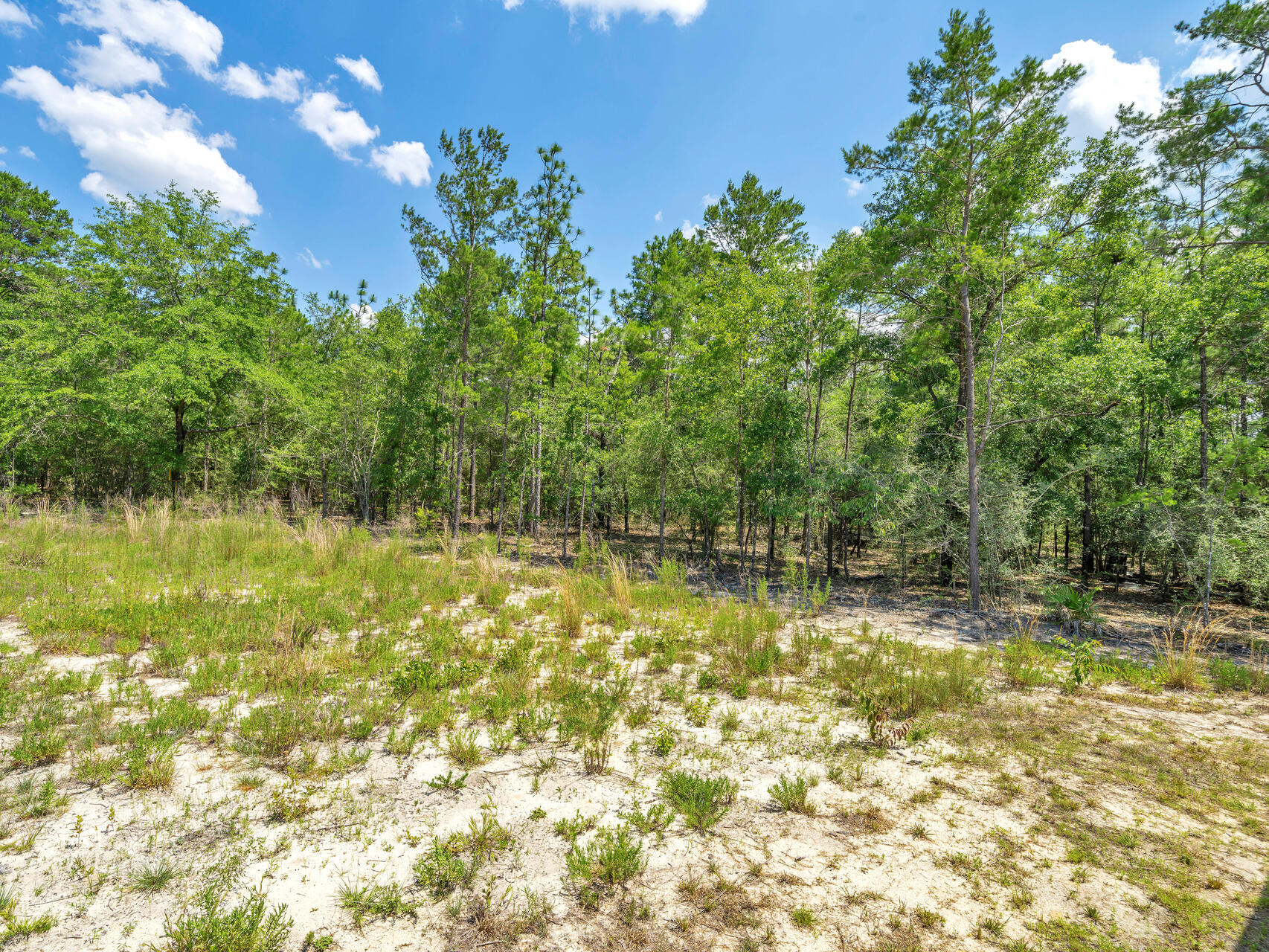 646 Osage Drive, DeFuniak Springs