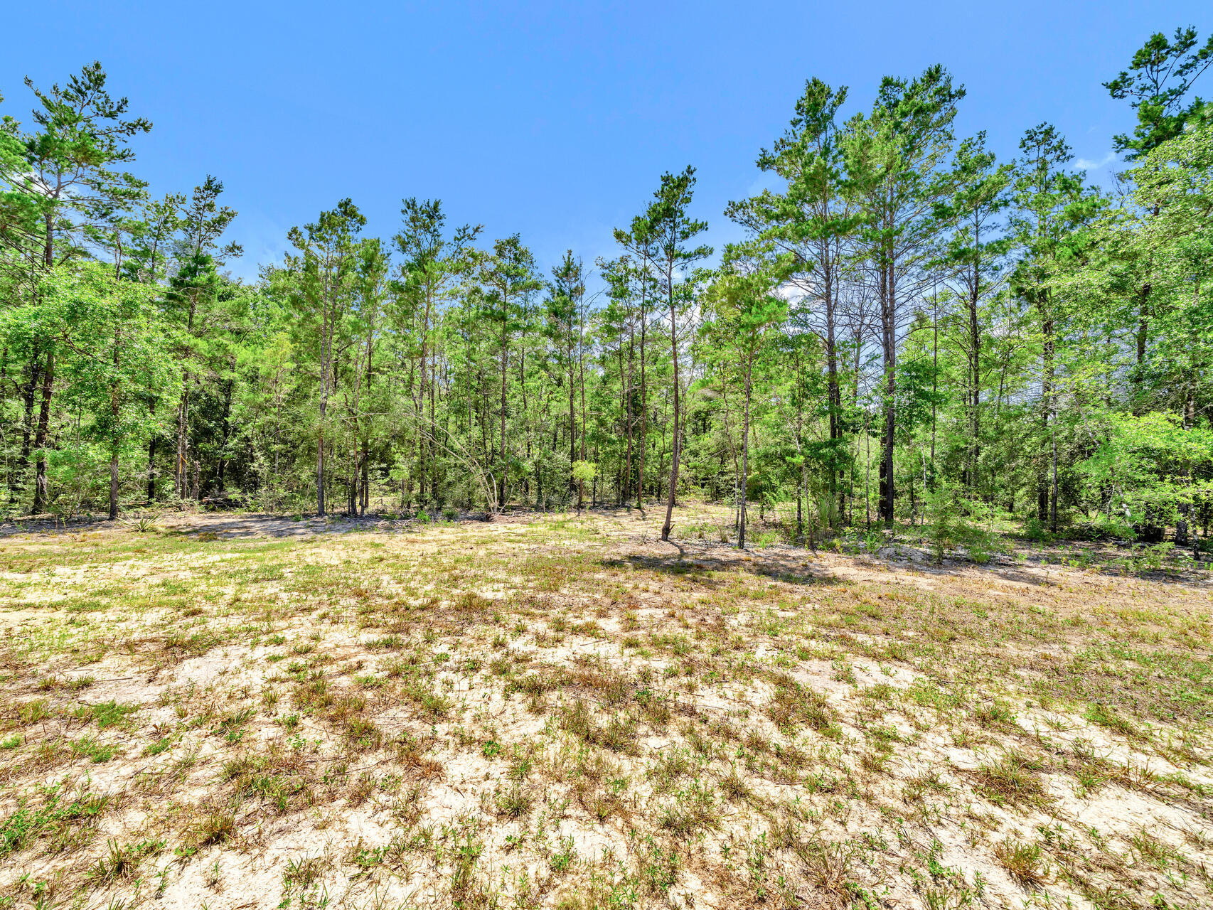 646 Osage Drive, DeFuniak Springs