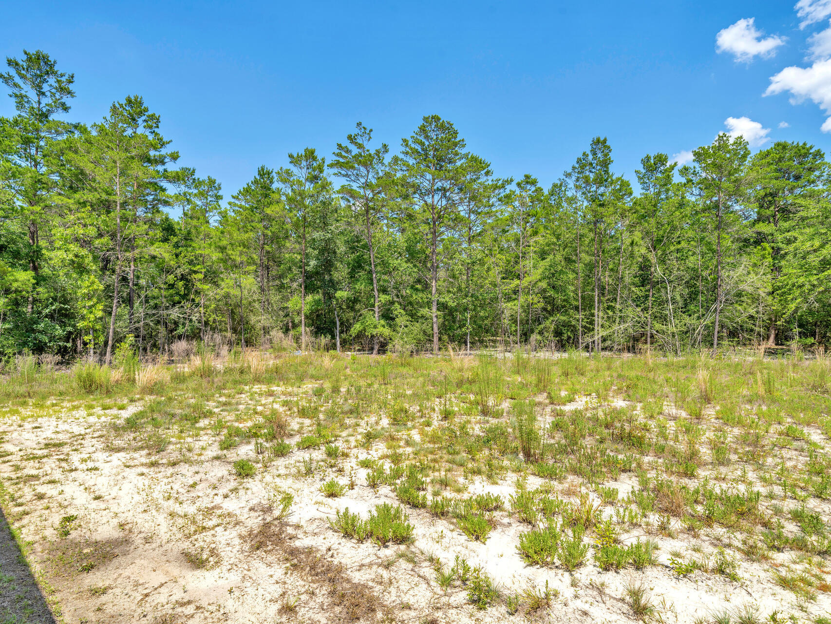 646 Osage Drive, DeFuniak Springs