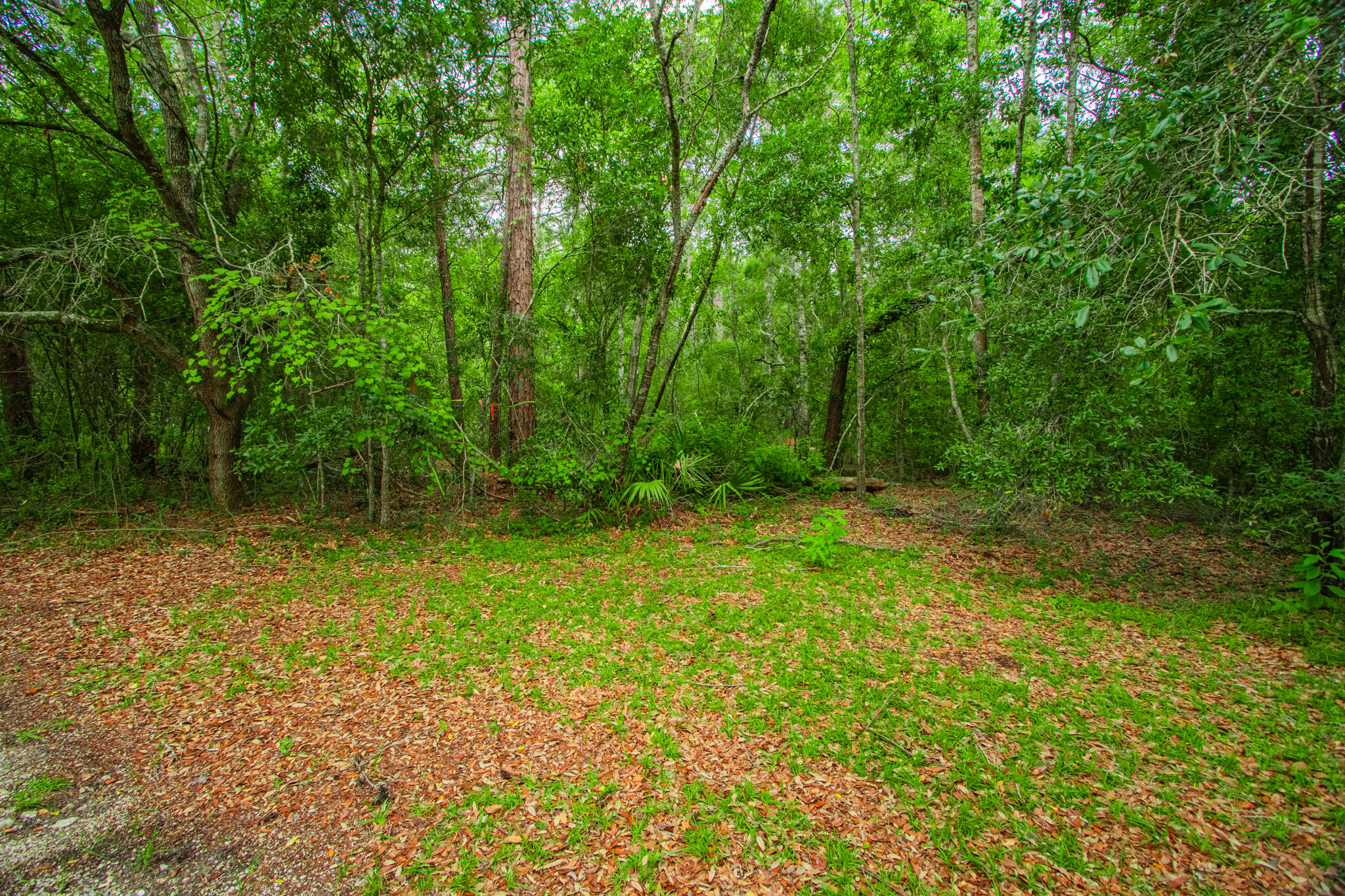 Lot 10 BLK 2 Peachtree Heights on Marie Drive