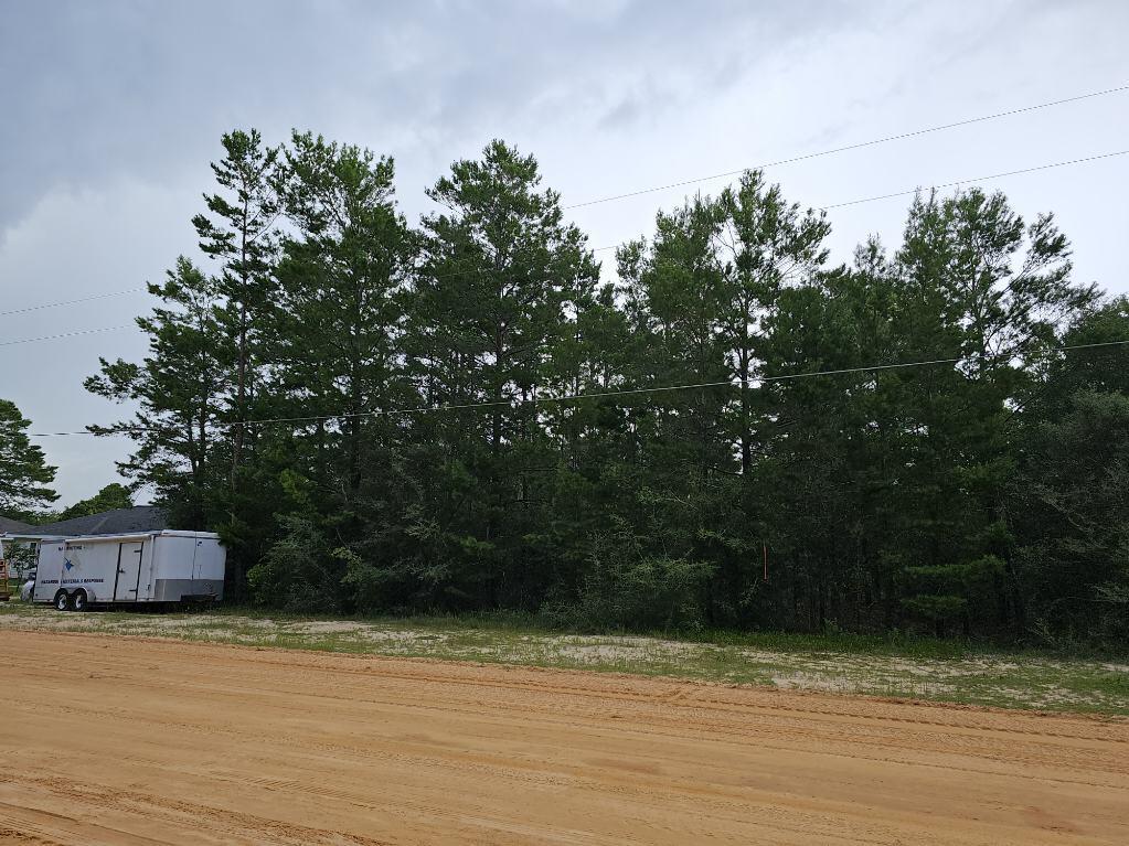 Lot 27 E Marigold Avenue, DeFuniak Springs