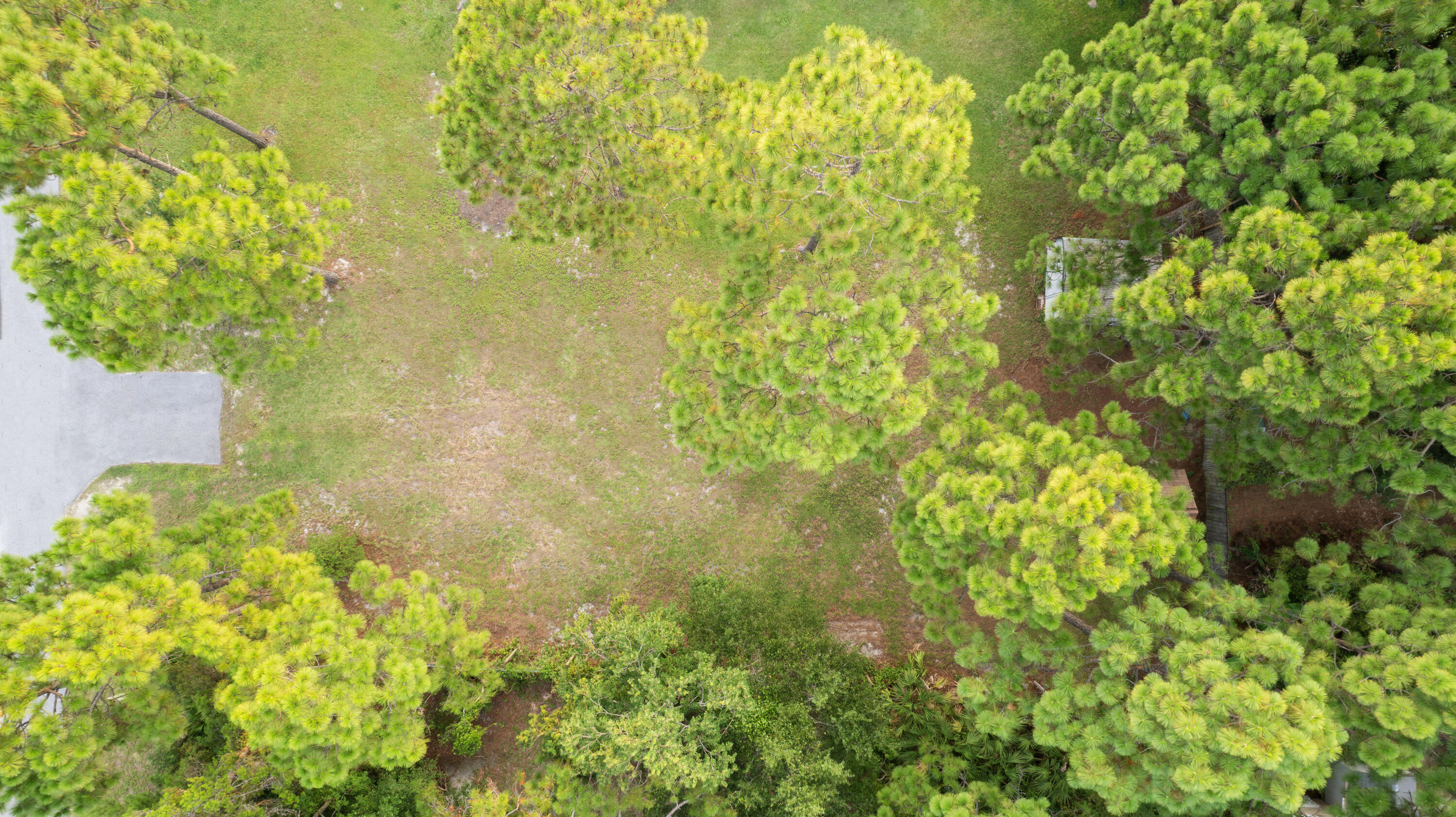 52 Bluebell Circle