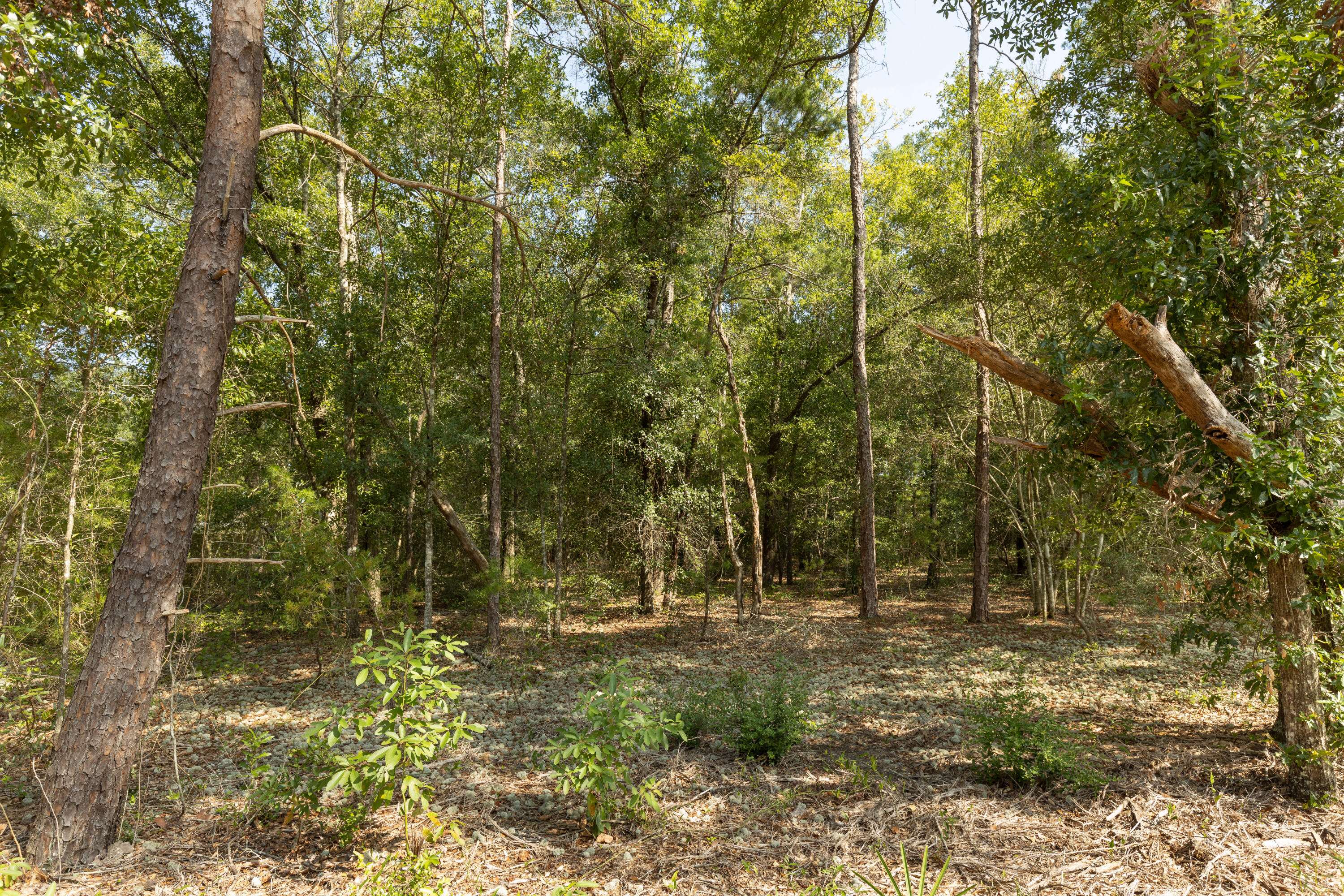 Lot XX Donatello Road, DeFuniak Springs