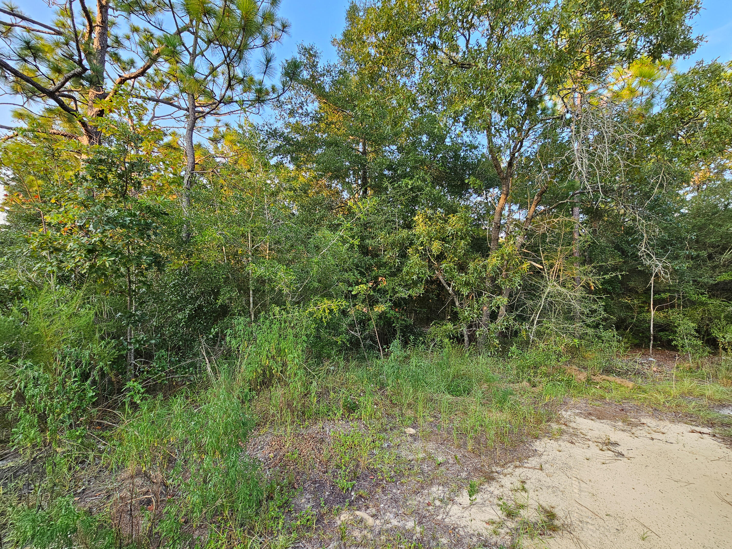 Lot XX Botticelli Court, DeFuniak Springs
