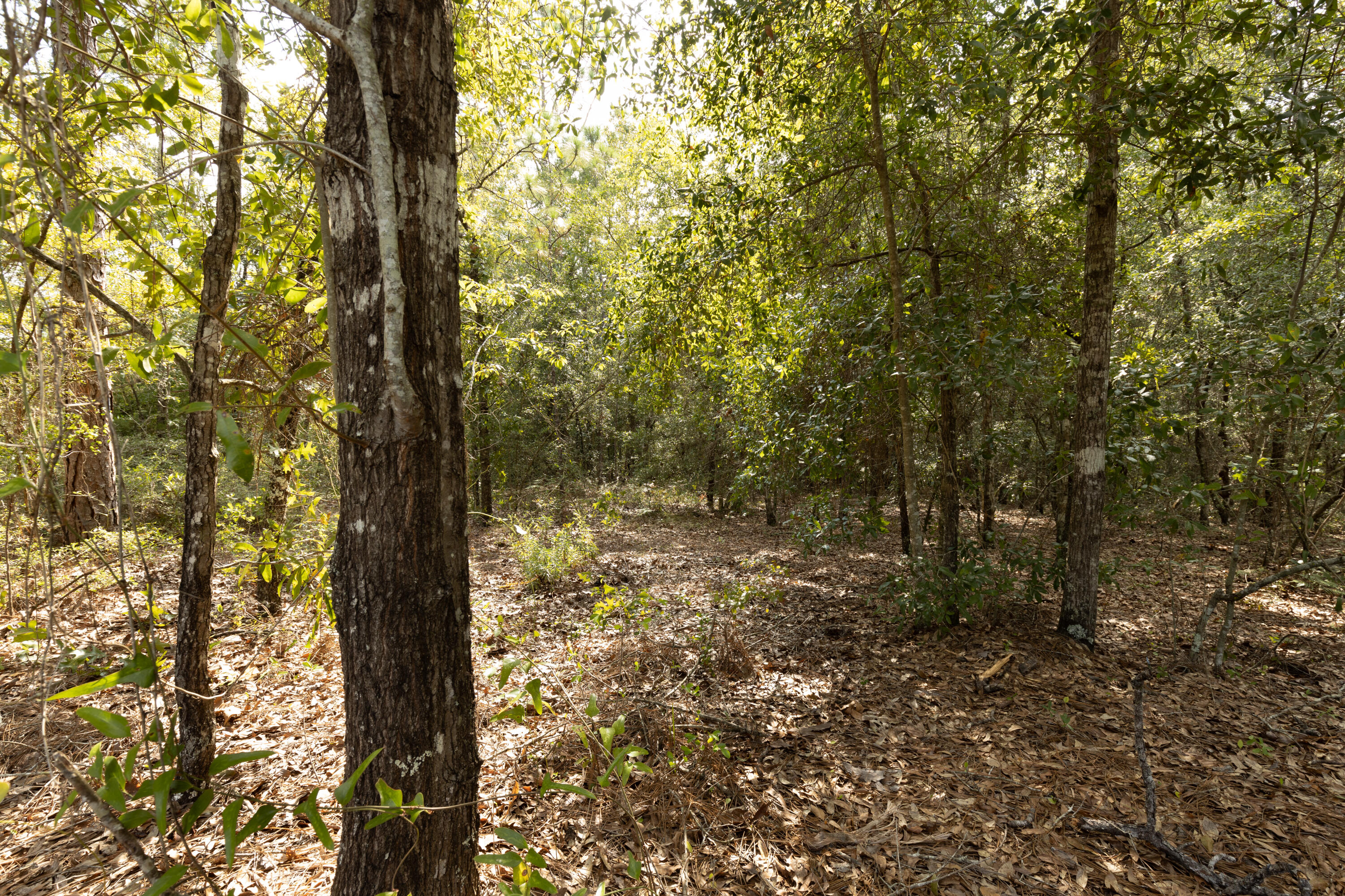 Lot XX E Picasso East Circle, DeFuniak Springs