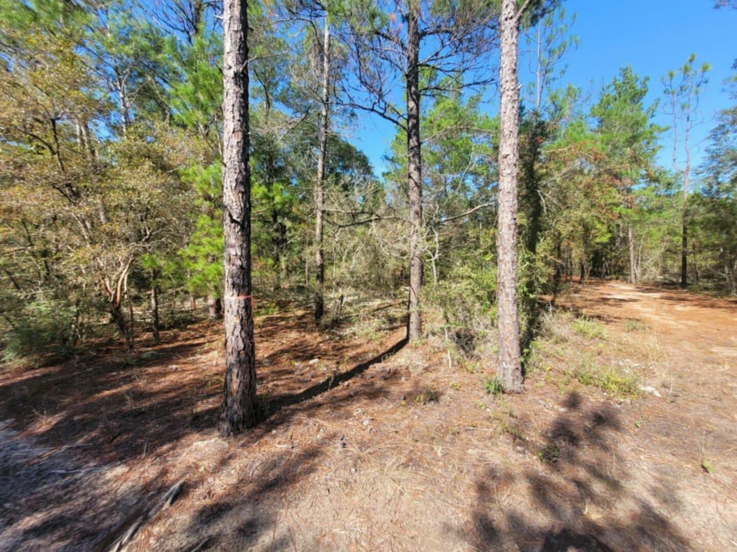 Lot 2 Blk 5 Red Mulberry Lane, DeFuniak Springs