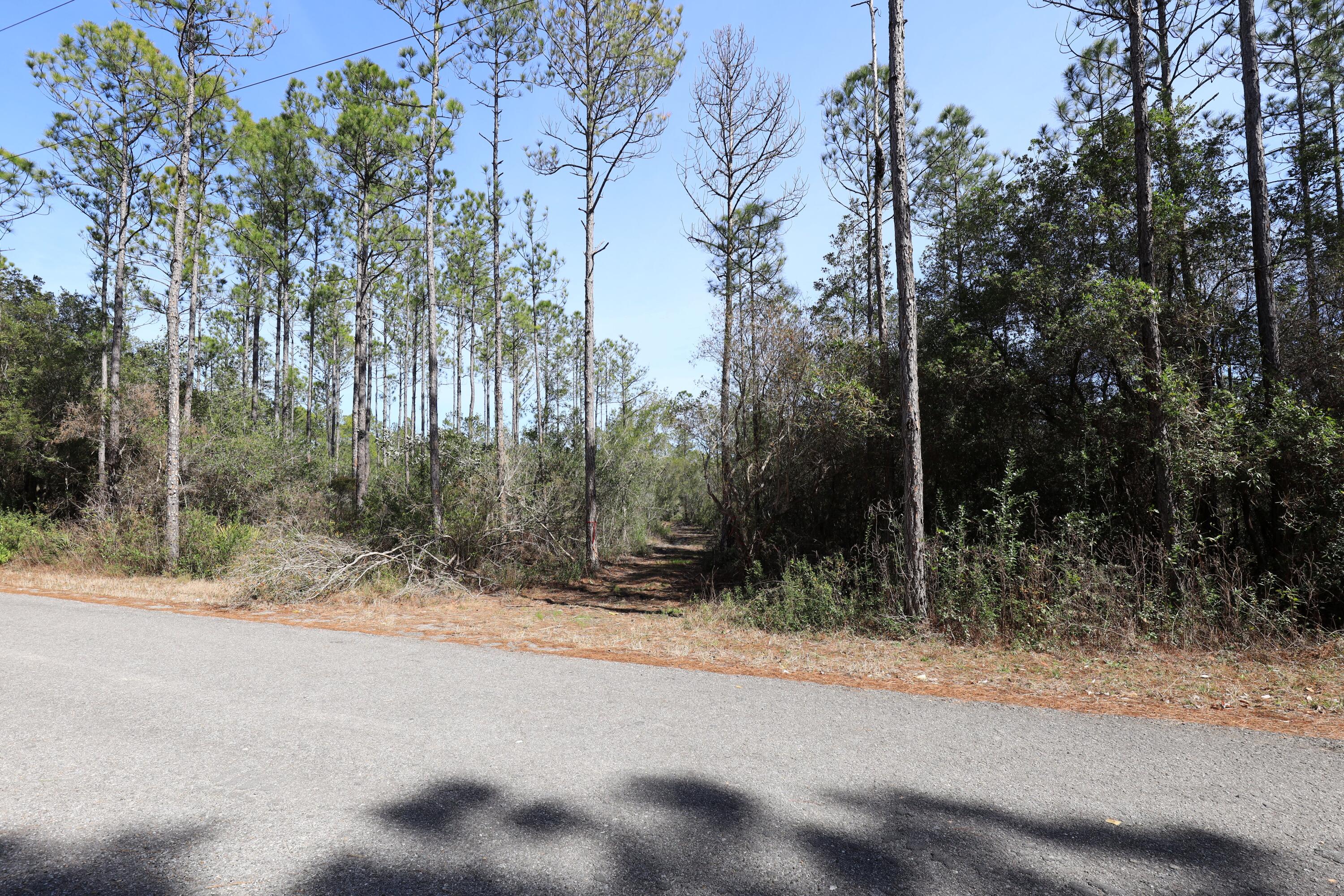 3 Acres Antioch Cemetery Road