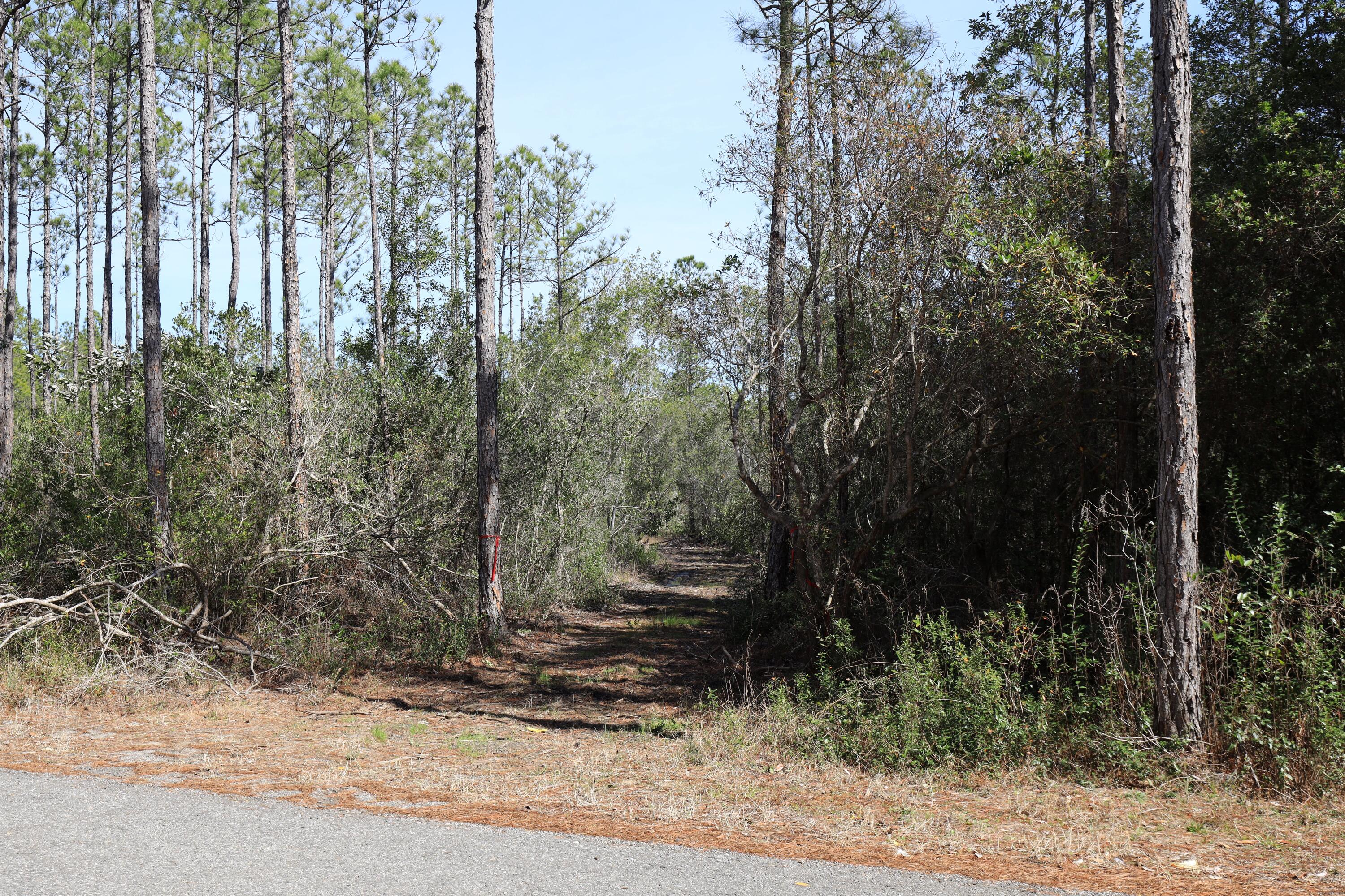 3 Acres Antioch Cemetery Road