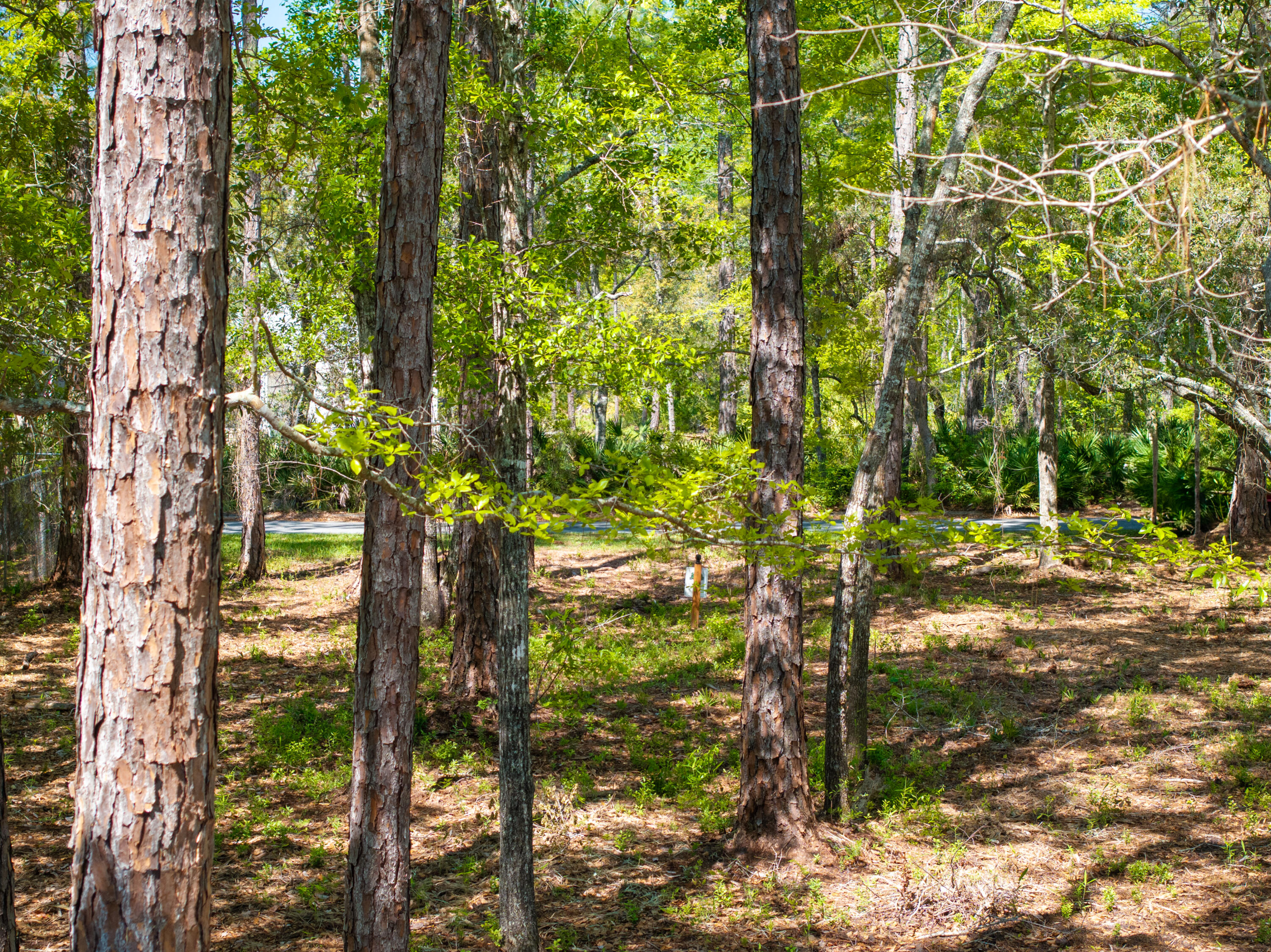LOT 23 B Bayside Drive