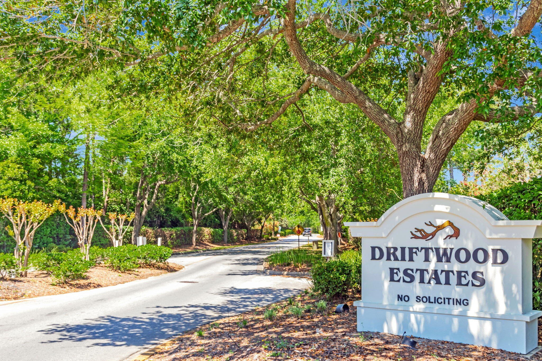 256 Cocobolo Drive