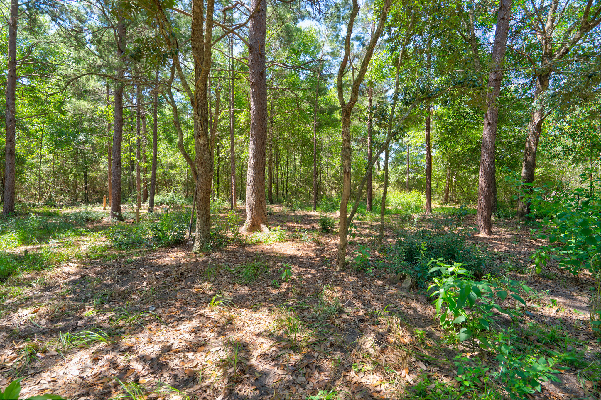 4236 Edge Perry Road