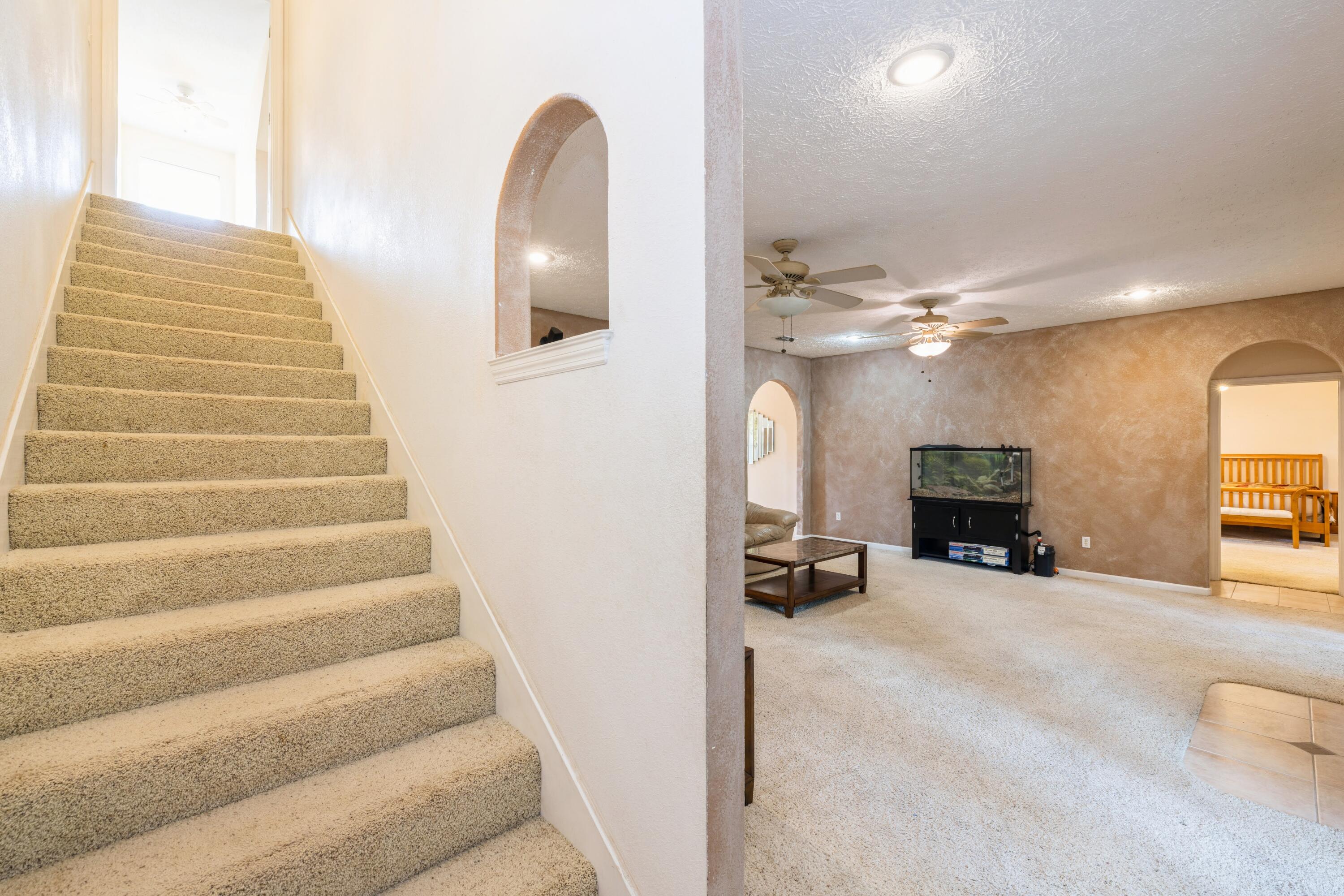 213 Mill Creek Drive