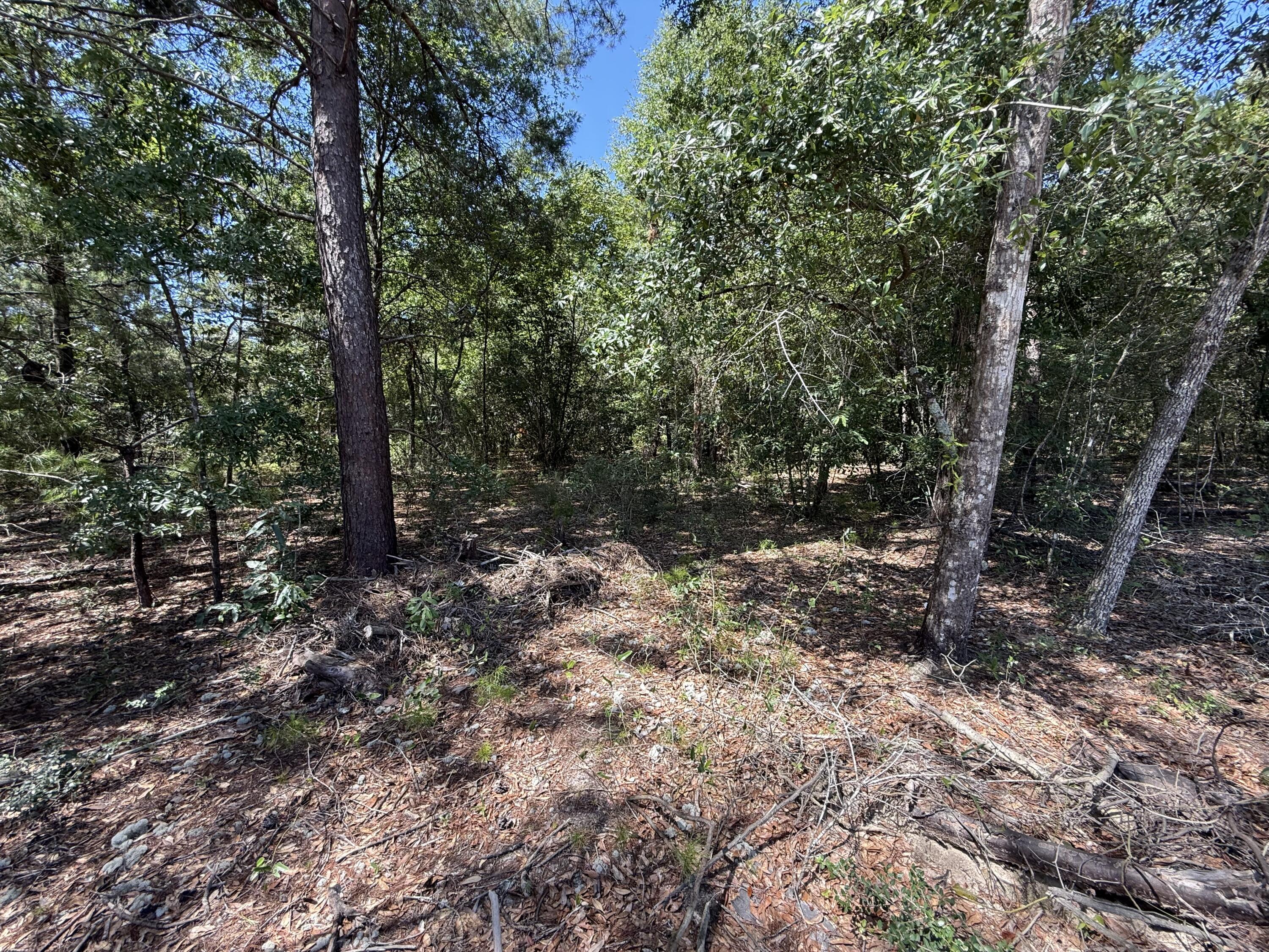 Lot 6 Country Boulevard, DeFuniak Springs