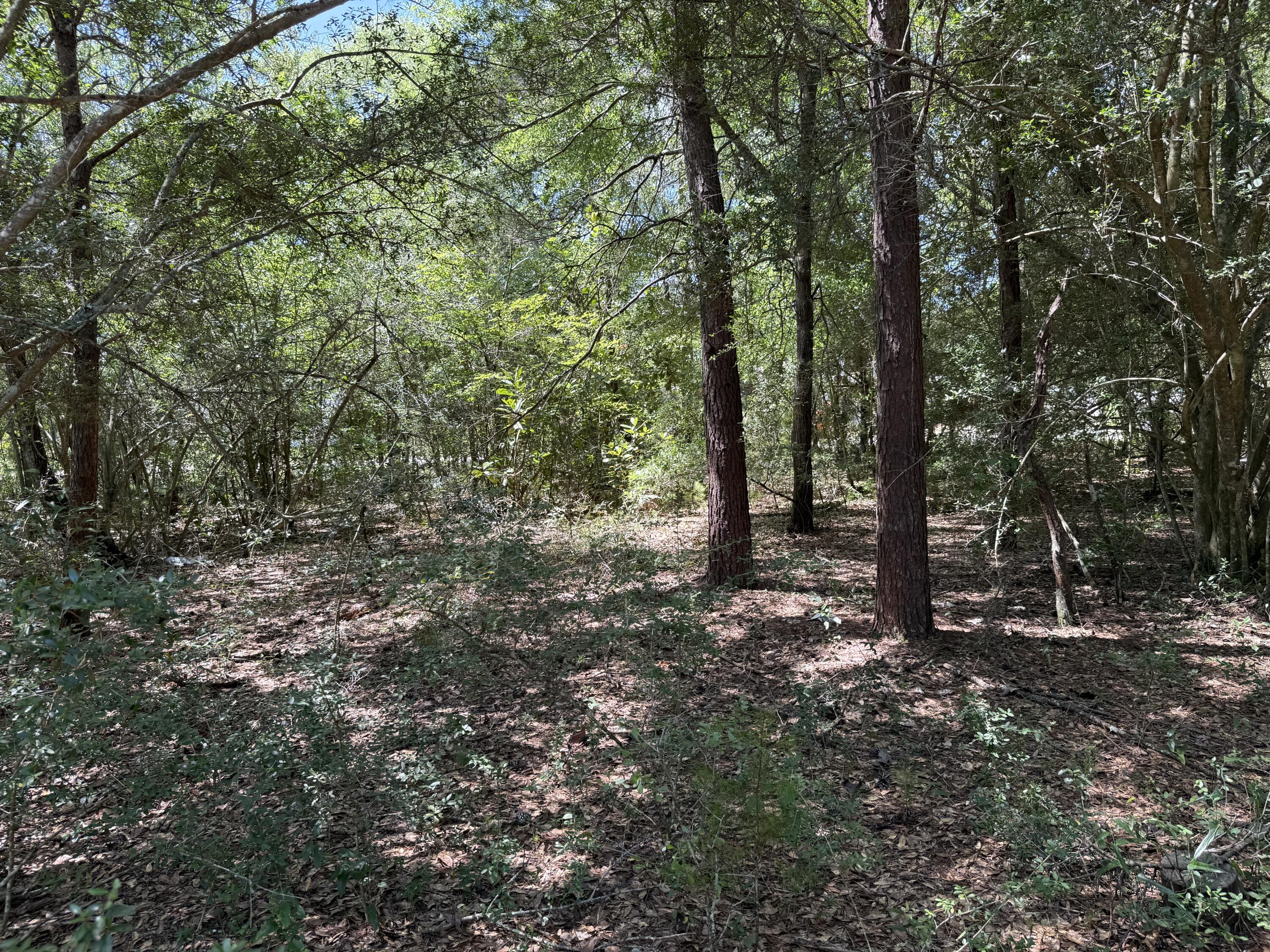 Lot 6 Country Boulevard, DeFuniak Springs