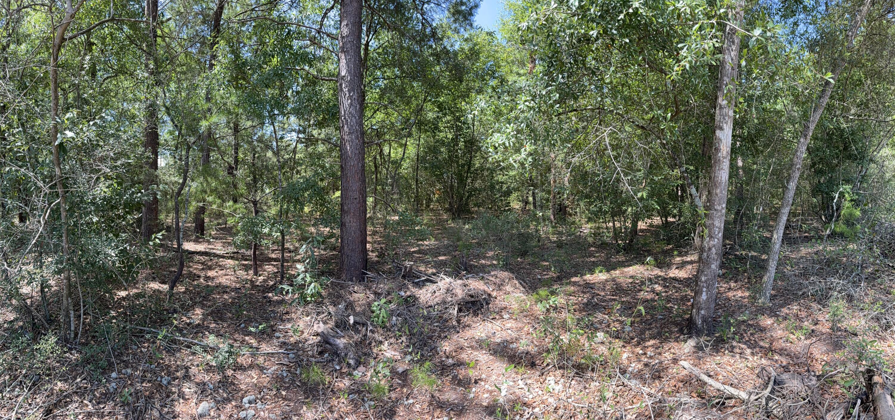 Lot 6 Country Boulevard, DeFuniak Springs