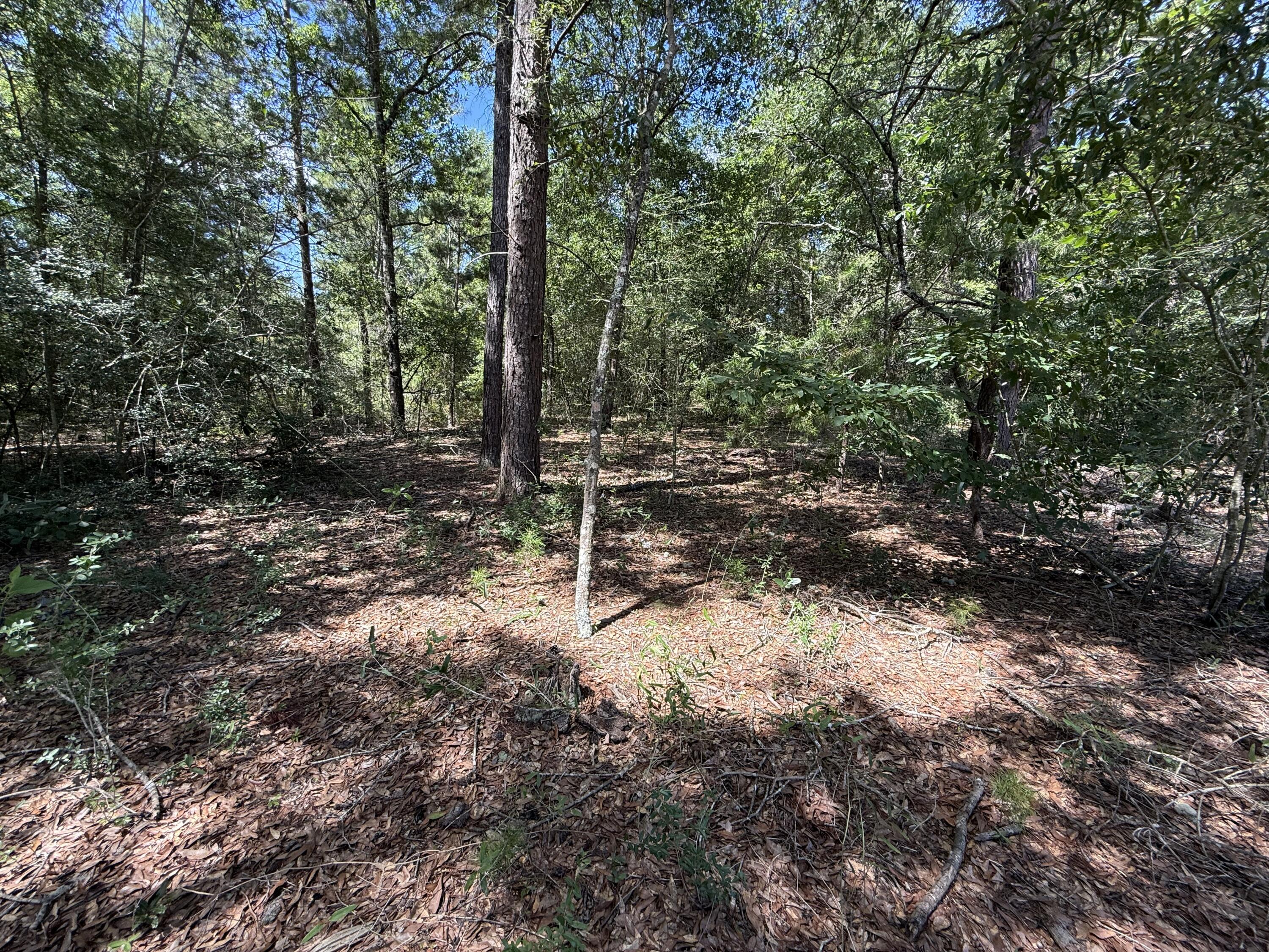 Lot 6 Country Boulevard, DeFuniak Springs