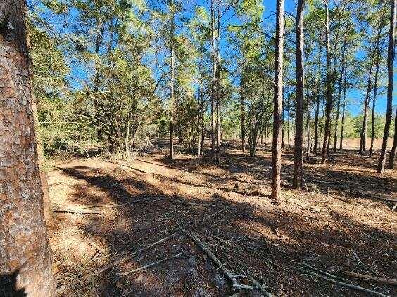 1.2 acres on Kelly Street, DeFuniak Springs