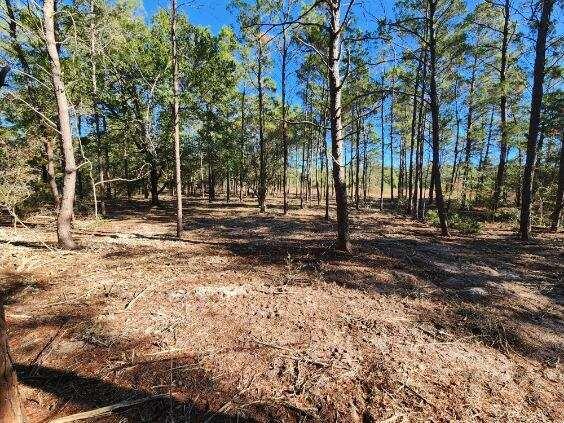 1.2 acres on Kelly Street, DeFuniak Springs