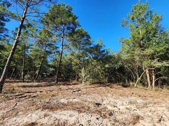1.2 acres on Kelly Street, DeFuniak Springs