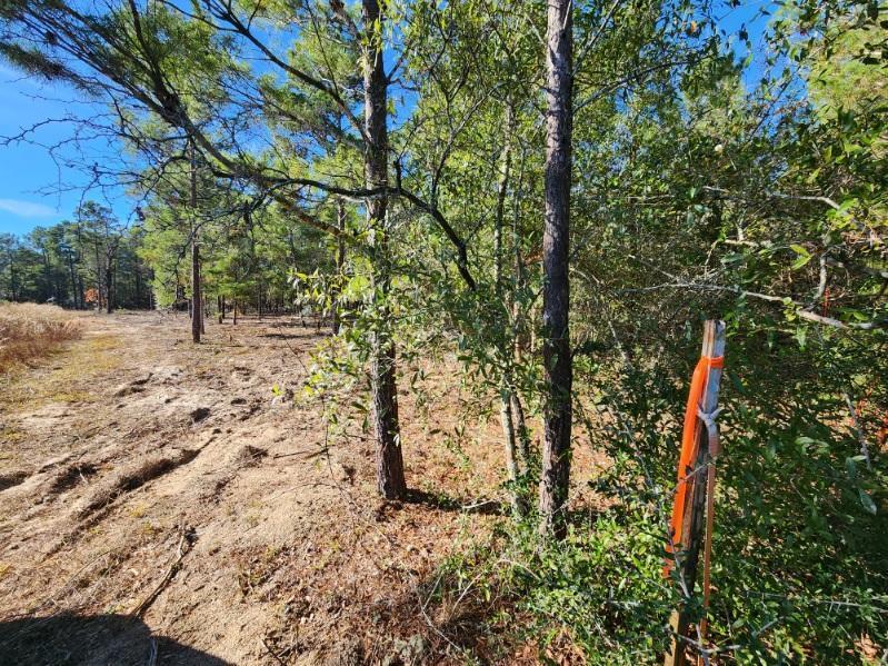 1.2 acres on Kelly Street, DeFuniak Springs