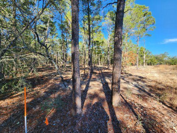 1.2 acres on Kelly Street, DeFuniak Springs