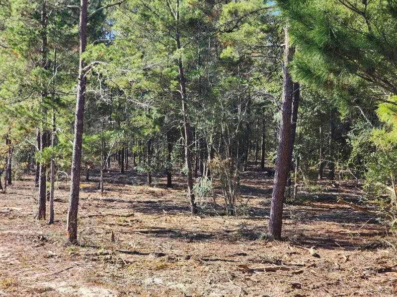 1.2 acres on Kelly Street, DeFuniak Springs