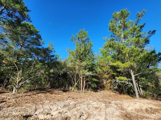 1.2 acres on Kelly Street, DeFuniak Springs