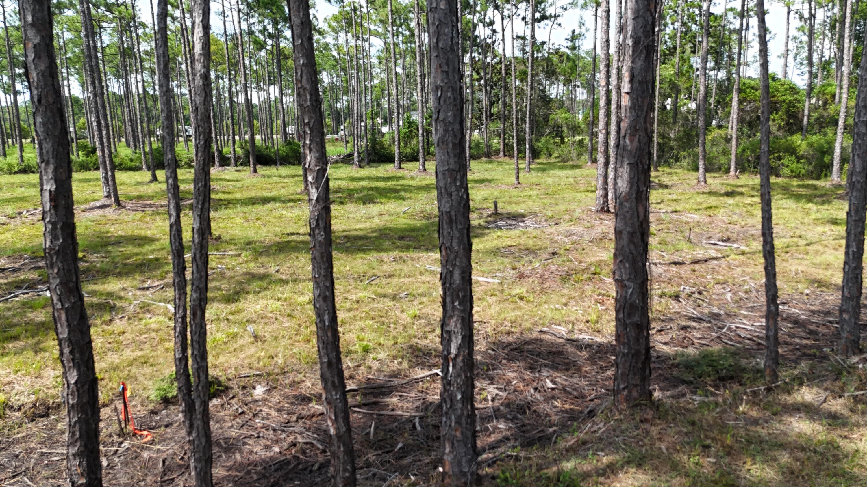 lot 4 foxmire farm rd