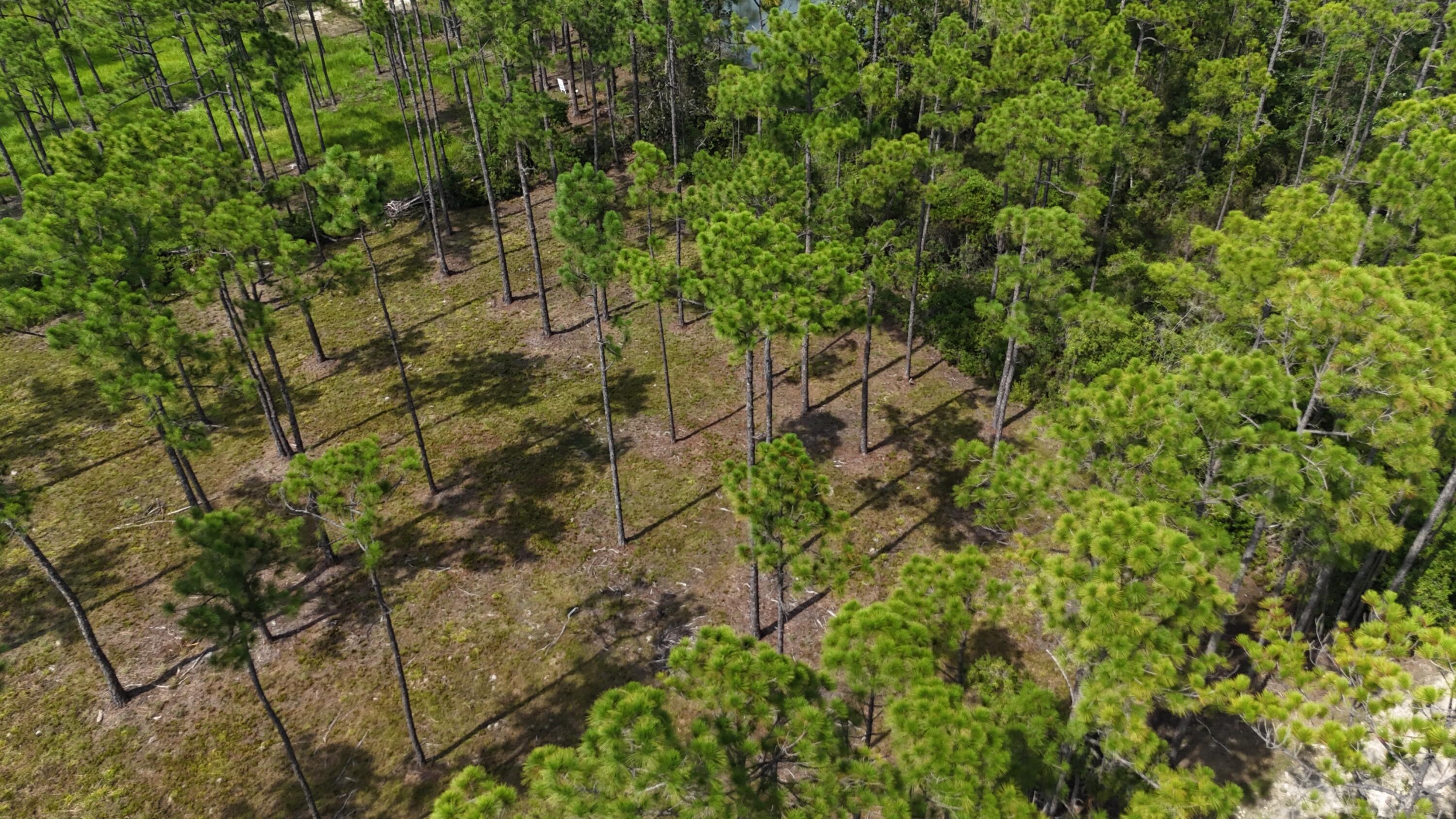 lot 4 foxmire farm rd