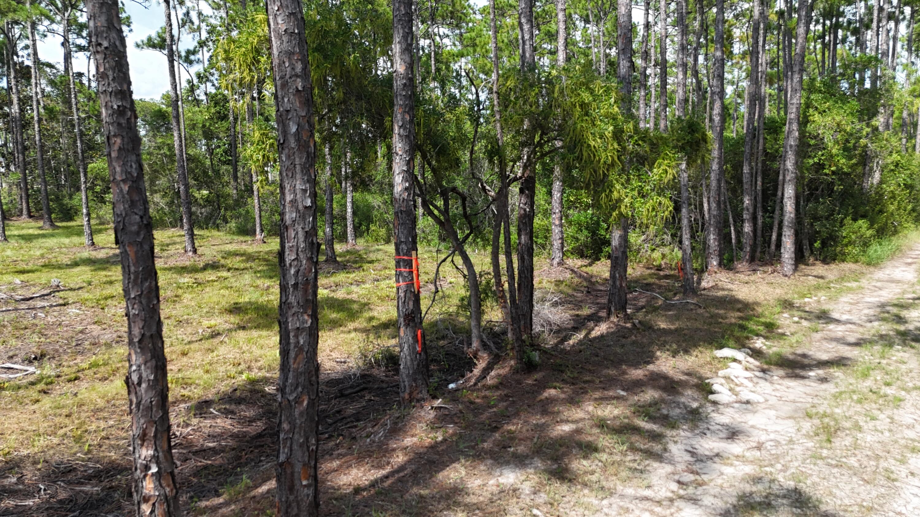lot 4 foxmire farm rd
