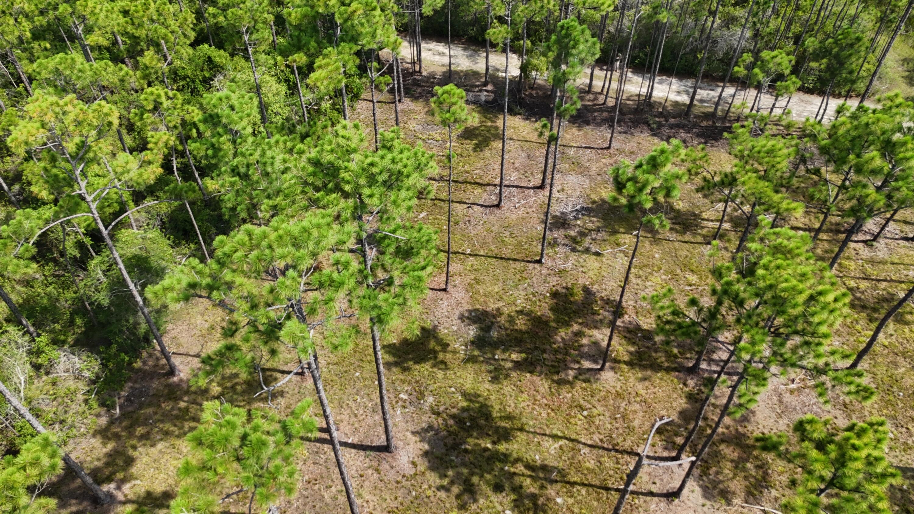 lot 4 foxmire farm rd