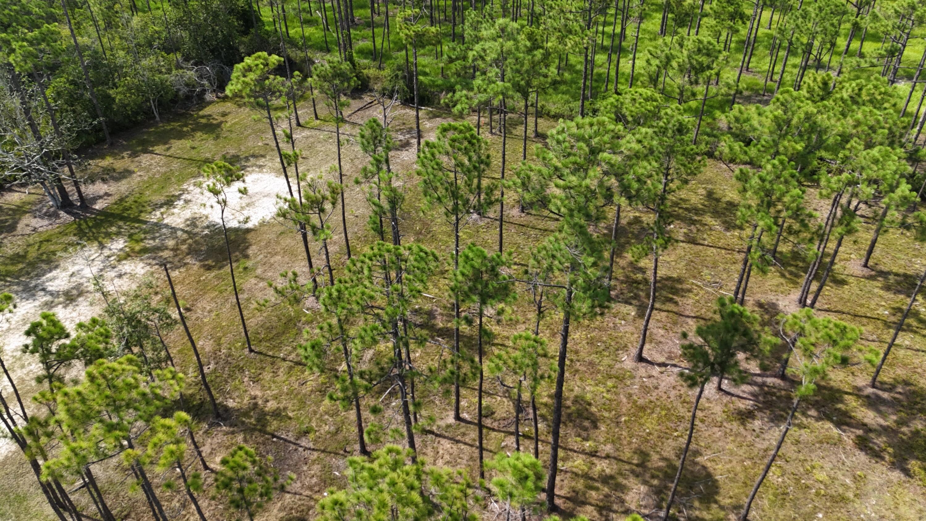 lot 4 foxmire farm rd